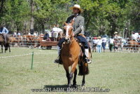 Fiesta Nacional del Caballo 2024