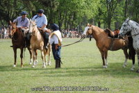 Fiesta Nacional del Caballo 2024