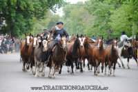 Fiesta Nacional del Caballo 2024