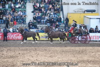 Exhibicin de Carruajes